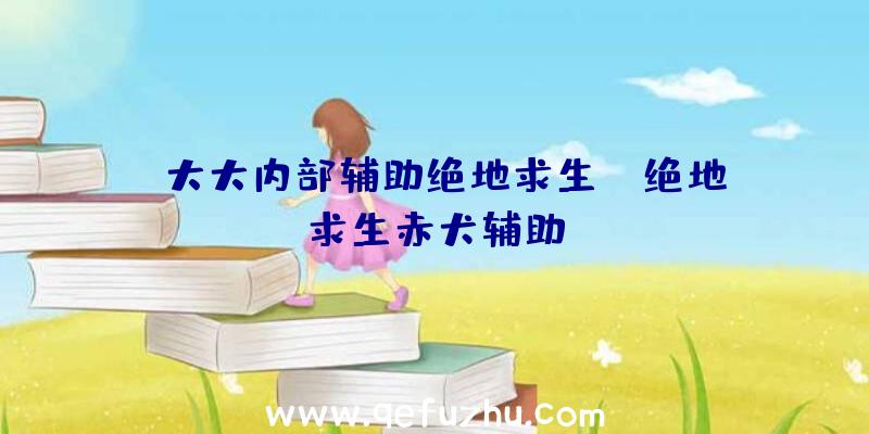 「大大内部辅助绝地求生」|绝地求生赤犬辅助